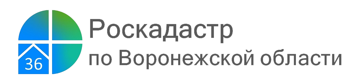 В ЕГРН внесен «зеленый пояс» Воронежа.