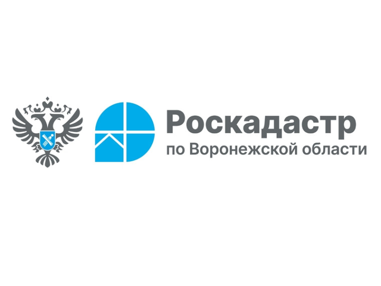 Кто может получить сведения о недвижимости со скидкой 50%.